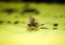 Fly-tying for Rainbow trout - Picture by Gustavo Alonso 