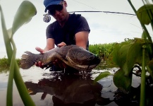 Fly-fishing Pic of Wolf Fish shared by Juan Dogan – Fly dreamers 