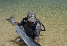 Fly-fishing Image of Barracuda shared by Felipe Morales – Fly dreamers