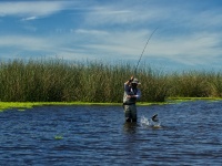 Foto de pesca con mosca