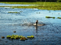 Foto de pesca con mosca