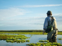 Foto de pesca con mosca