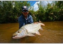 Monster Tigerfish on the Fly