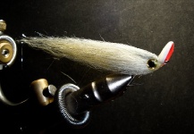 Sweet Fly-tying Photo shared by Henkie Altena – Fly dreamers 