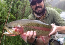 Andrew Nevins 's Fly-fishing Photo of a Rainbow trout – Fly dreamers 