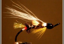 Fly for Atlantic salmon by Martin Arcand – Fly dreamers 