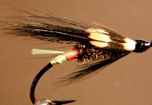 Fly for Atlantic salmon - Picture by Martin Arcand – Fly dreamers 