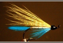 Martin Arcand 's Fly for Atlantic salmon - – Fly dreamers 