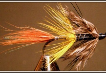 Martin Arcand 's Fly for Atlantic salmon - Pic – Fly dreamers 