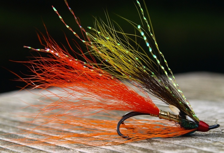 Tomas Kolesinskas 's Fly for Atlantic salmon - Photo – Fly dreamers