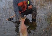 Fly-fishing Pic of King salmon shared by Alejandro Bianchetti – Fly dreamers 