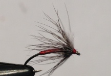 Fly-tying Image by Ryan Walker 