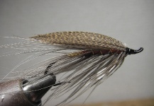 Mic Futahashi 's Fly for Atlantic salmon - Pic – Fly dreamers 