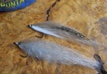 Bob Veverka 's Fly for Roosterfish - – Fly dreamers 