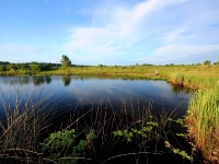 Fly fishing picture