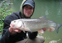 Fly-fishing Picture of Chub shared by Pete Hoffmann – Fly dreamers