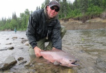 Fly-fishing Picture of King salmon shared by Michael Tyrna – Fly dreamers
