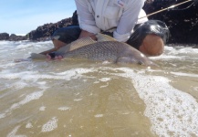 Sebastian Diaz 's Fly-fishing Image of a Whitemouth croaker – Fly dreamers 