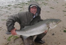 Jack Denny 's Fly-fishing Pic of a Striper – Fly dreamers 