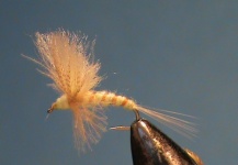 Jim Misiura 's Fly-tying for Brown trout - Photo – Fly dreamers 