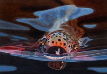  Interesante Foto de Pesca con Mosca compartida por Casey Jacoby – Fly dreamers