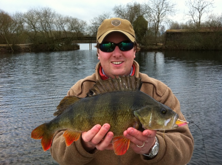 Perch caught on the fly by Tom Hammond  