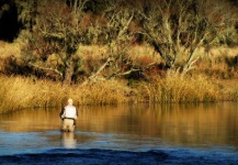 Nice Fly-fishing Situation of Rainbow trout - Picture shared by Edevar Zorrer – Fly dreamers