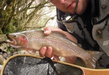  Captura de Pesca con Mosca de Trucha arcoiris por Rogerio "JAMANTA" Batista – Fly dreamers