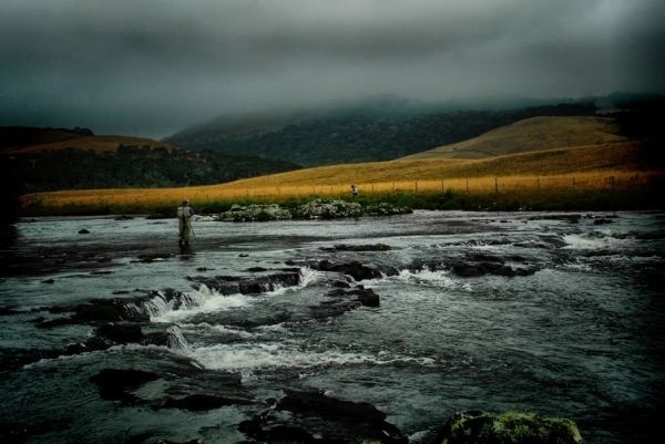 Jamanta pescando no Rio Silveira