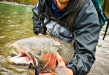  Imagen de Pesca con Mosca de Steelhead por Luke Saffarek – Fly dreamers