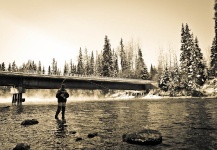  Situación de Pesca con Mosca de Steelhead – Fotografía por Luke Saffarek en Fly dreamers