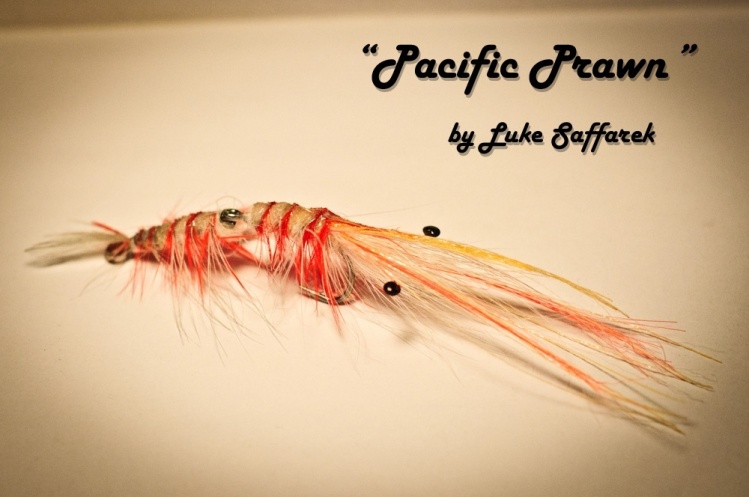 Pacific Prawn.  Articulated 2/0