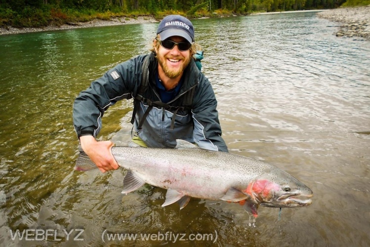 My Monster Steelie!  25lbs!  Skeena River tributary.