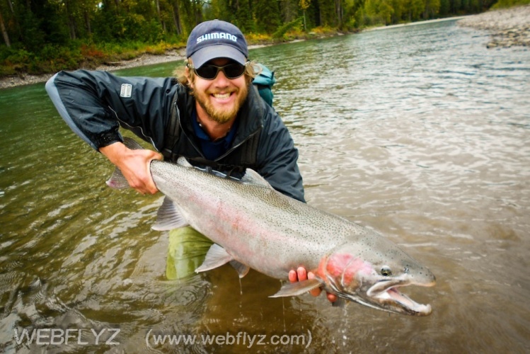 Monster Steelhead!  25lbs!  Skeena River Tributary.