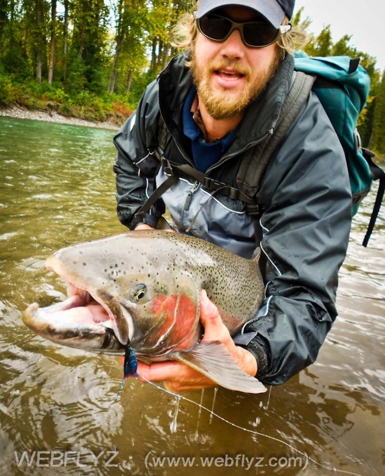 Big Steelhead