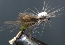 Fly-tying for Brown trout -  Image shared by Oscar Quevedo Iglesias – Fly dreamers