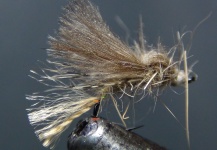 Oscar Quevedo Iglesias 's Fly-tying for Brown trout - Photo – Fly dreamers 