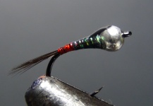 Oscar Quevedo Iglesias 's Fly-tying for Brown trout - Pic – Fly dreamers 