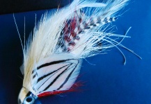  Mira esta imagen de atado de moscas para Tiburón de Colton Graham – Fly dreamers