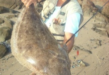 Sebastian Diaz 's Fly-fishing Image of a Flounder – Fly dreamers 