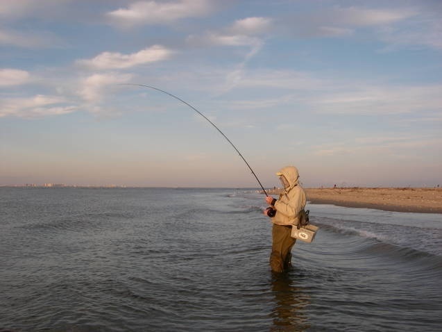Surf fishing for stripers in NJ