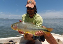 Jorge Rodriguez 's Fly-fishing Image of a Pira Pita – Fly dreamers 