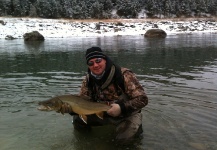 Fly-fishing Pic of Bull trout shared by Stephen Hume – Fly dreamers 