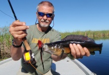 Mario Capovía Del Cet 's Fly-fishing Pic of a Comb finn Bass / Cernicichla lepidota – Fly dreamers 