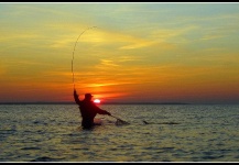 autumn fishing on the danish cost