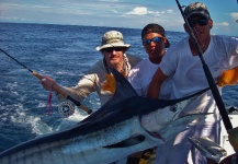 Billfish and offshore on fly