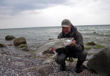 Spring seatrout