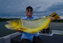 Fly-fishing Photo of Golden Dorado shared by Alfonso Aragon – Fly dreamers 