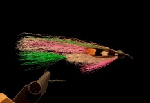 Fly for Landlocked Salmon - Pic shared by Marcelo Morales – Fly dreamers 