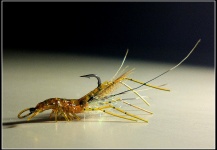 Fly-tying for Bonefish - Image by Rune Westphal 